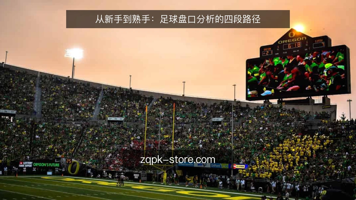 从新手到熟手:足球盘口分析的四段路径